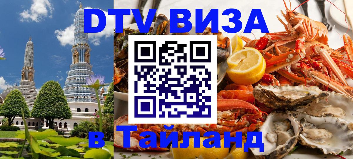 Оформление DTV визы под ключ: стоимость и тарифы, только загранпаспорт - Ковров  09.01.2026 